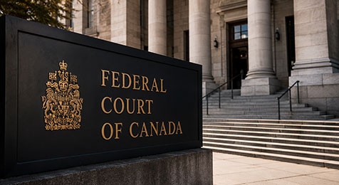 Federal Court Judicial Review Lawyer